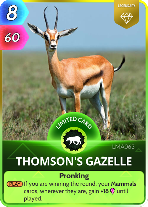 62dfc86e5e50fa577268e2e8_thoms